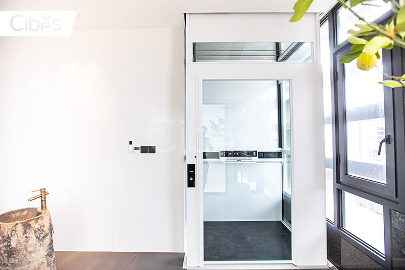 CIBES大发500电梯汕头装置案例