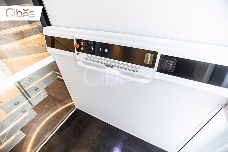 CIBES大发500电梯汕头装置案例