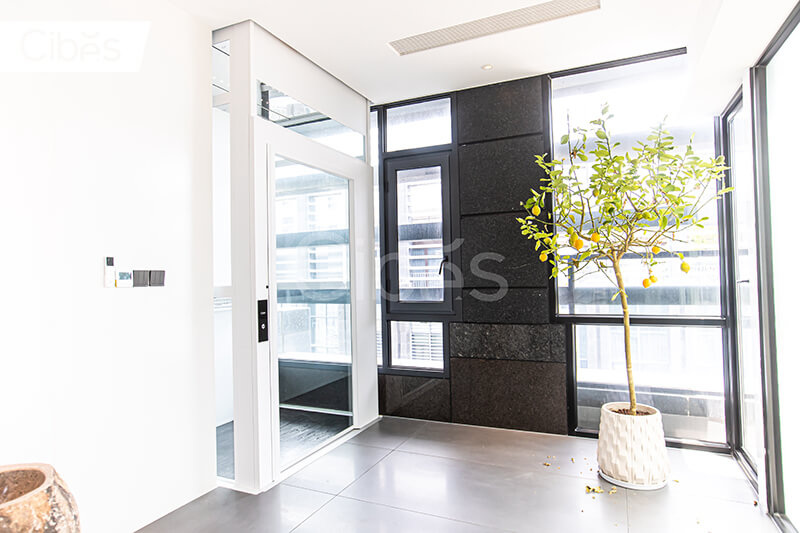 CIBES大发500电梯汕头装置案例