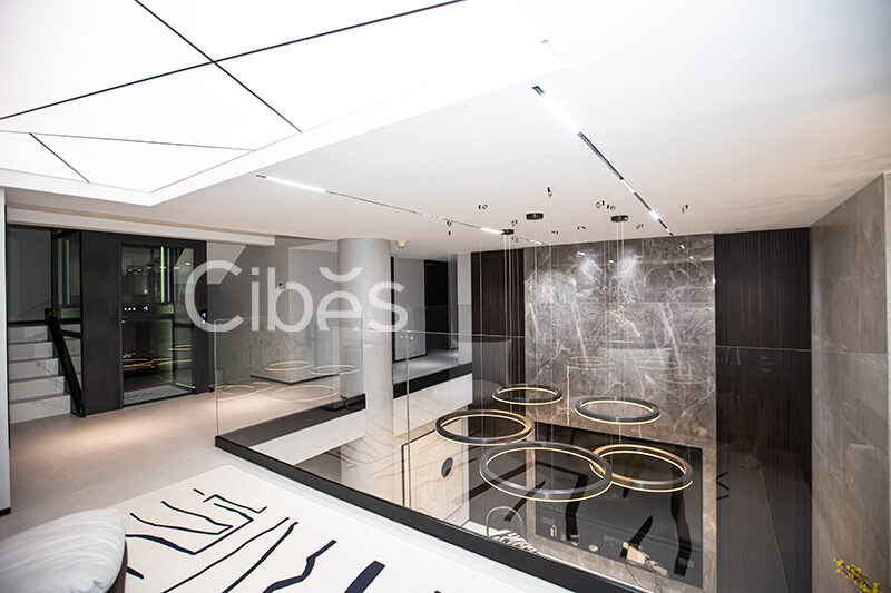 Cibes大发500江苏南京装置案例