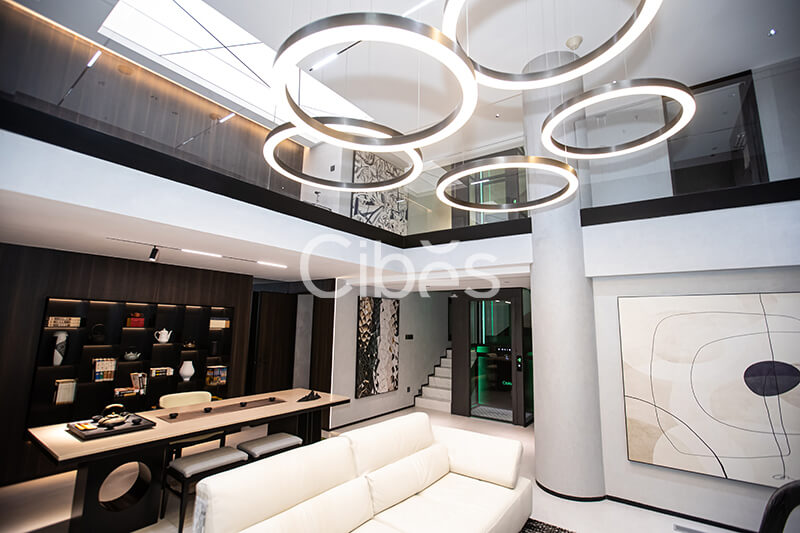 Cibes大发500江苏南京装置案例