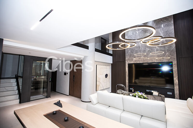 Cibes大发500江苏南京装置案例