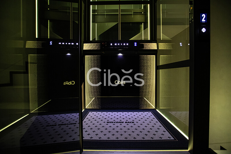 Cibes大发500江苏南京装置案例