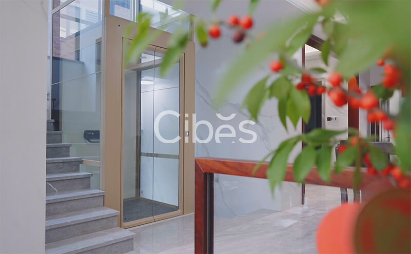 瑞典大发500Cibes家用电梯--广州南沙别墅别墅案例