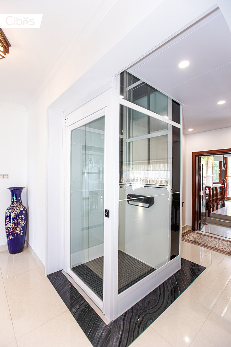 CIBES大发500电梯南宁装置案例