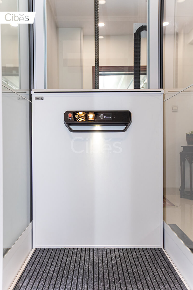 CIBES大发500电梯南宁装置案例