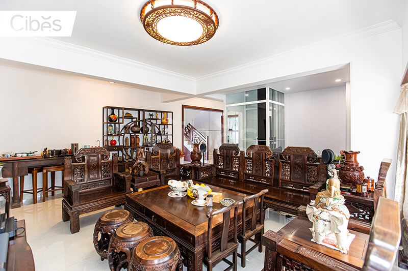 CIBES大发500电梯南宁装置案例