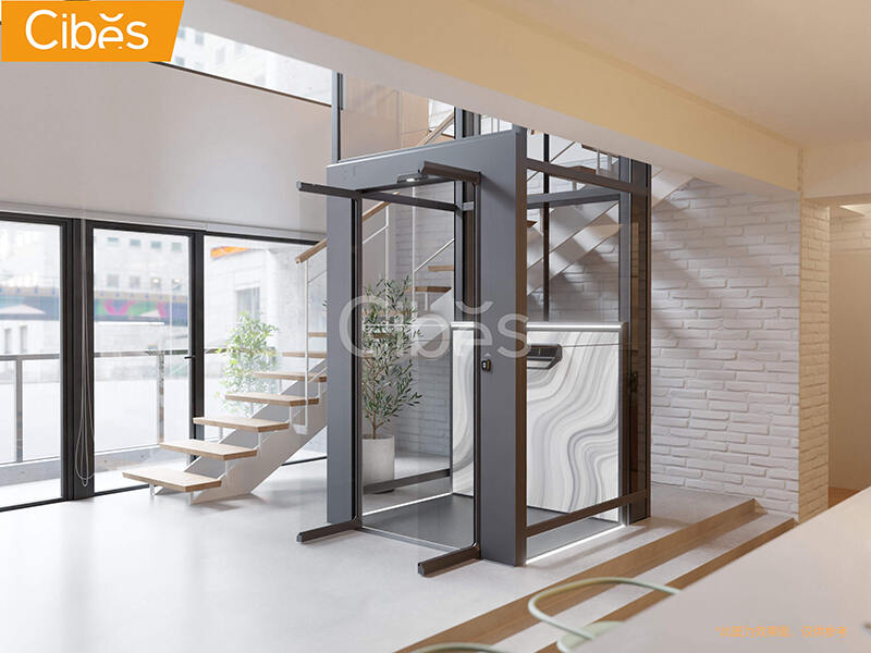 Cibes大发500家用电梯