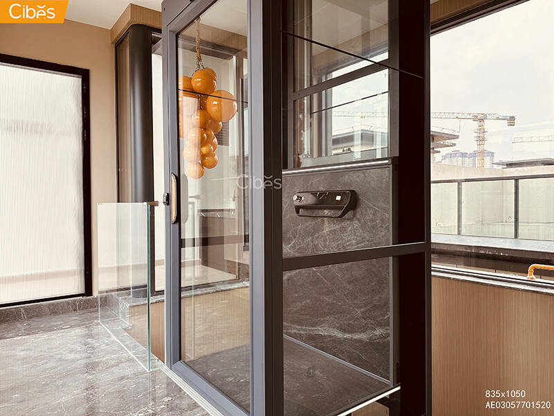 Cibes大发500家用电梯