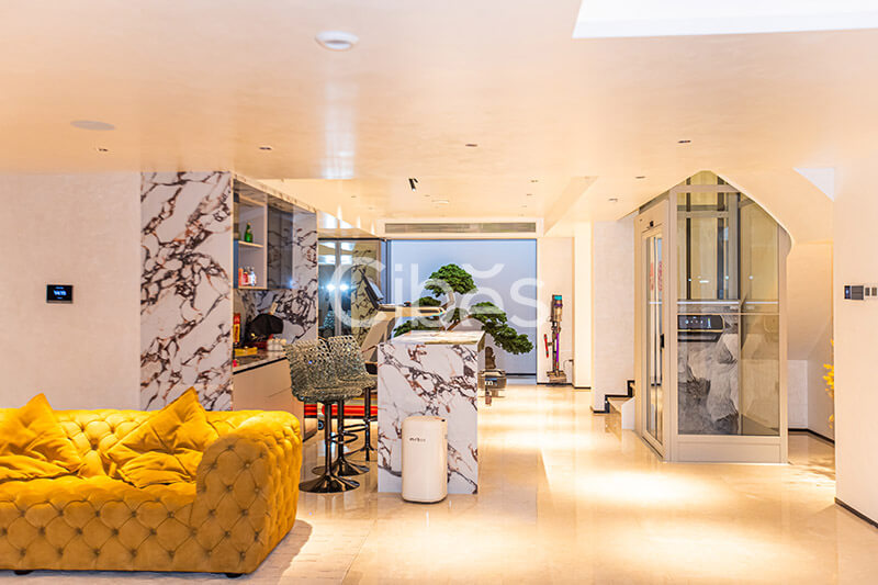 cibes别墅电梯江苏南京案例