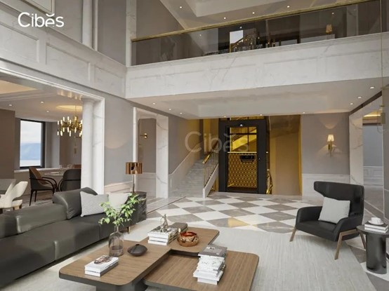 cibes别墅电梯谢谢信