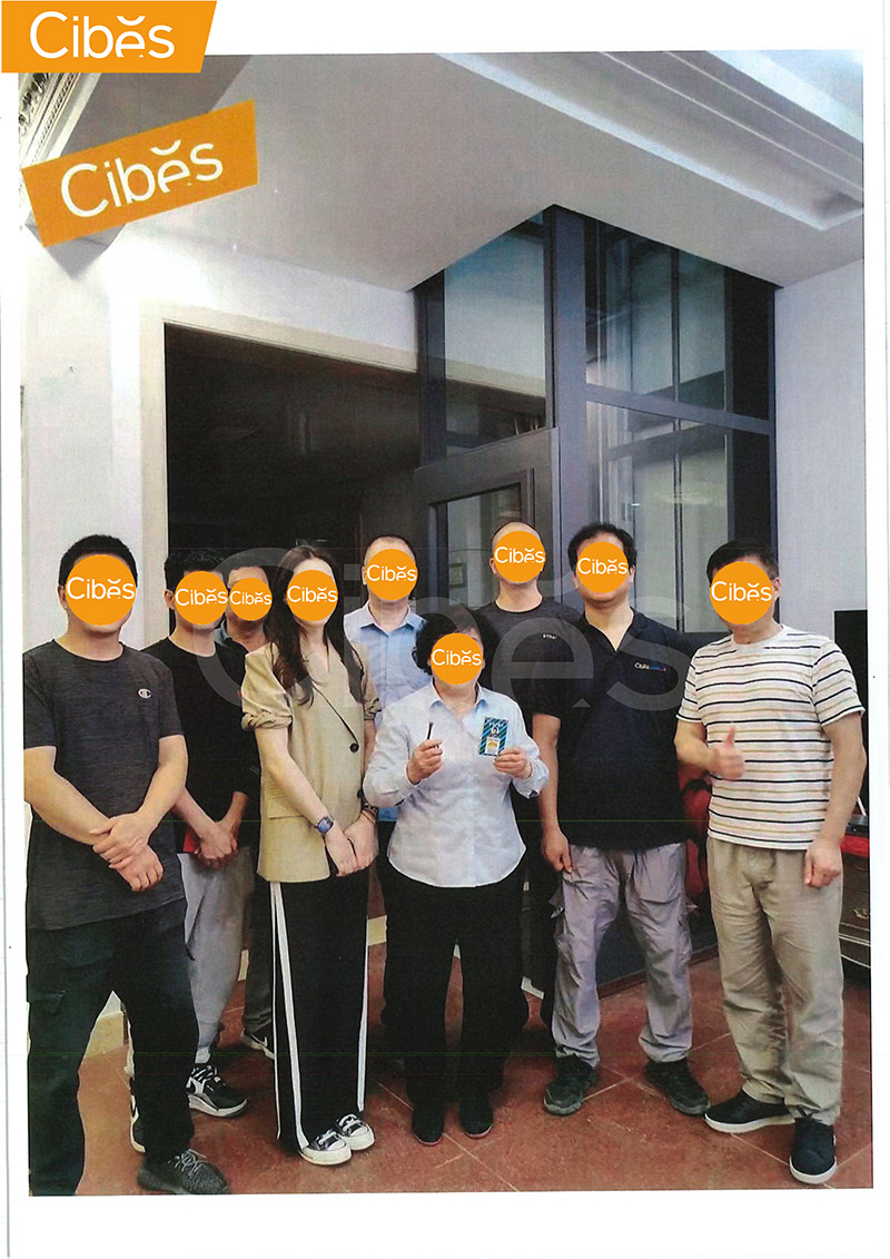 cibes别墅电梯谢谢信