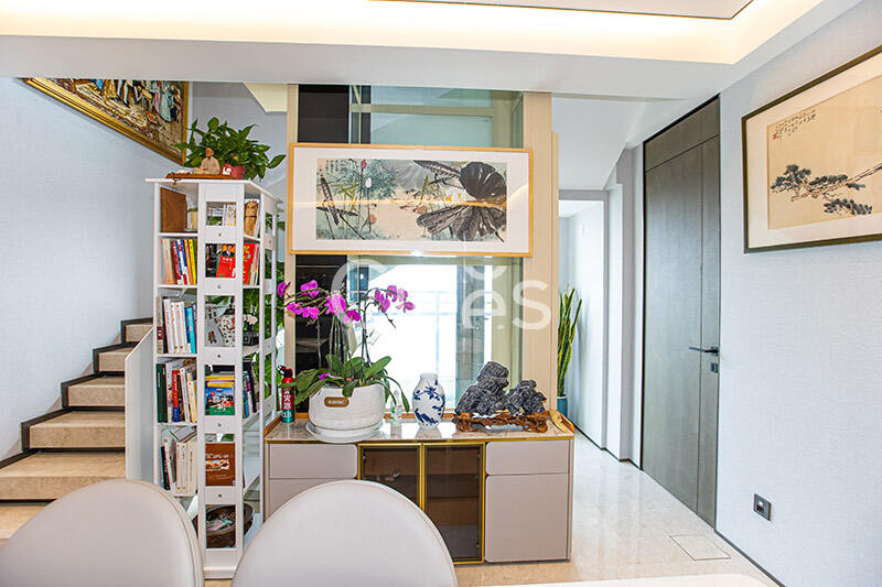 Cibes大发500南京别墅电梯案例