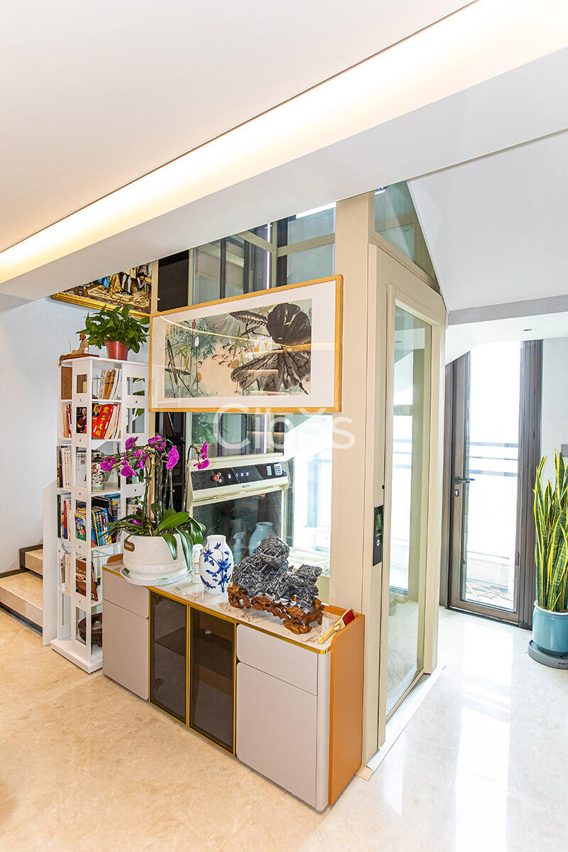 Cibes大发500南京别墅电梯案例