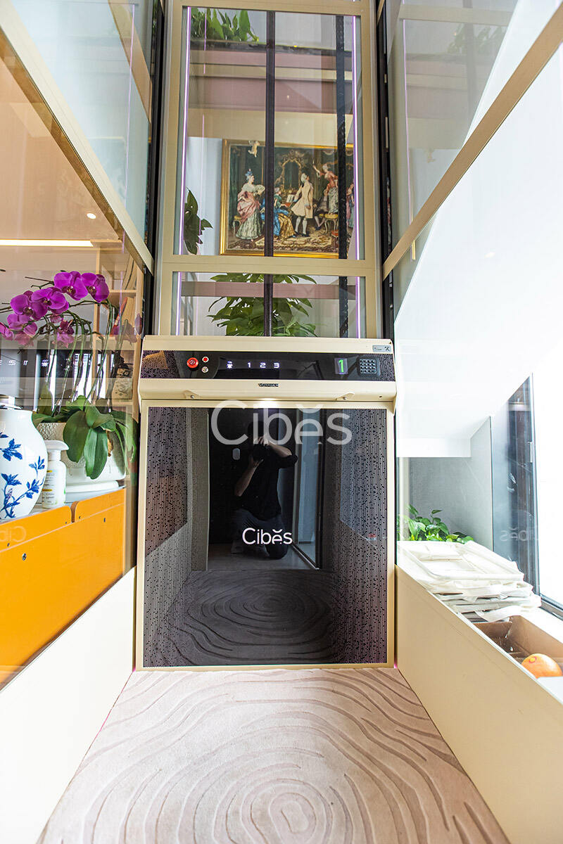 Cibes大发500南京别墅电梯案例