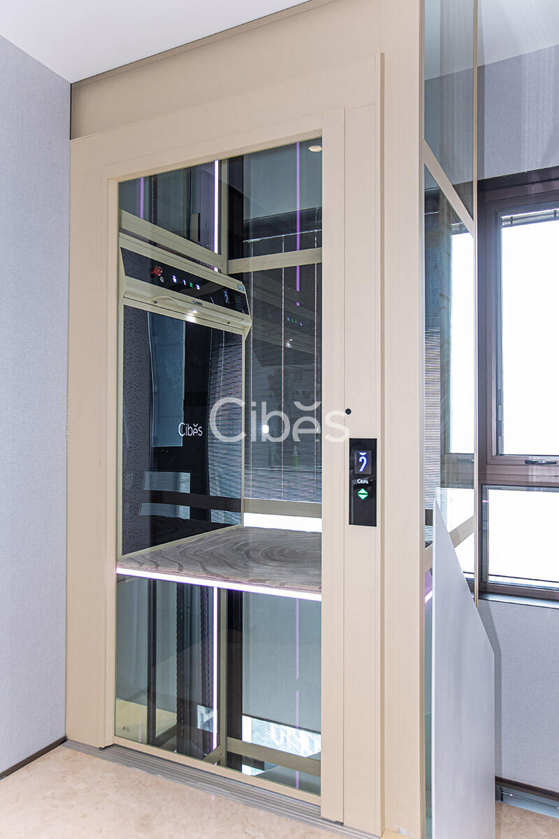 Cibes大发500南京别墅电梯案例