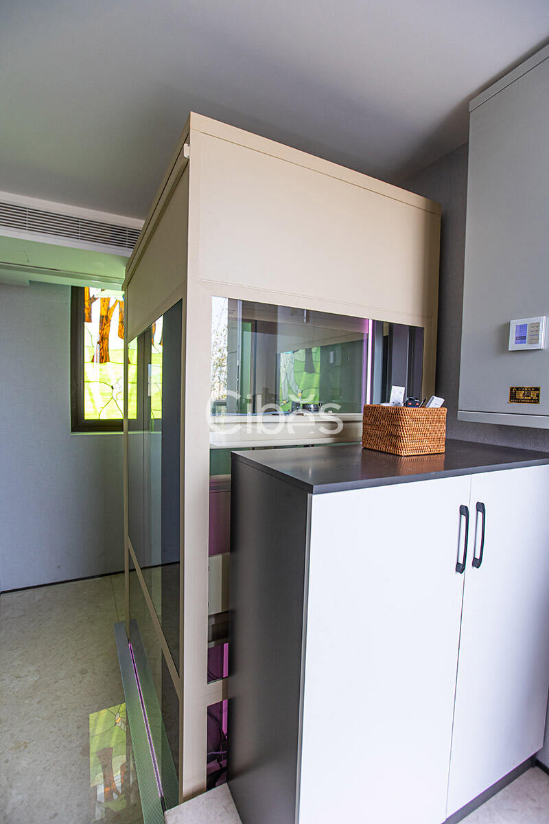 Cibes大发500南京别墅电梯案例