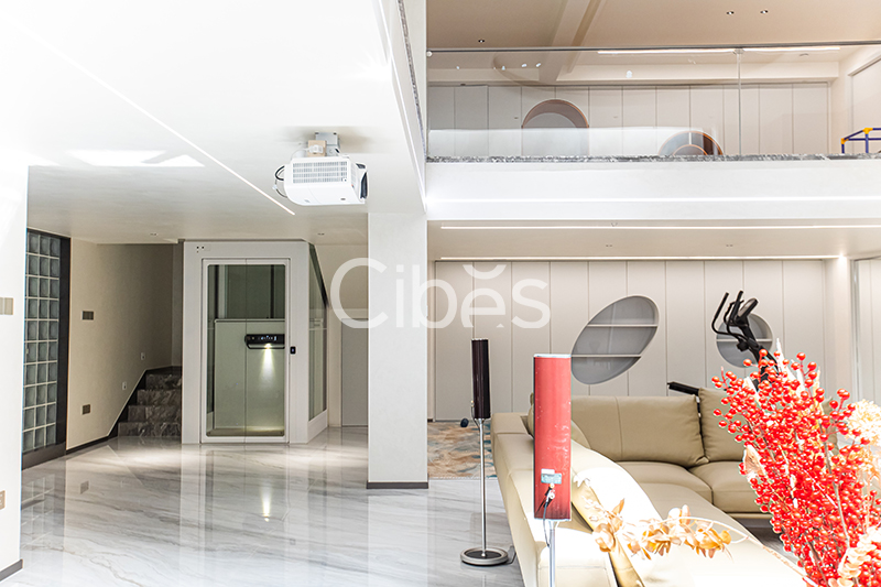 Cibes大发500家用电梯装置案例
