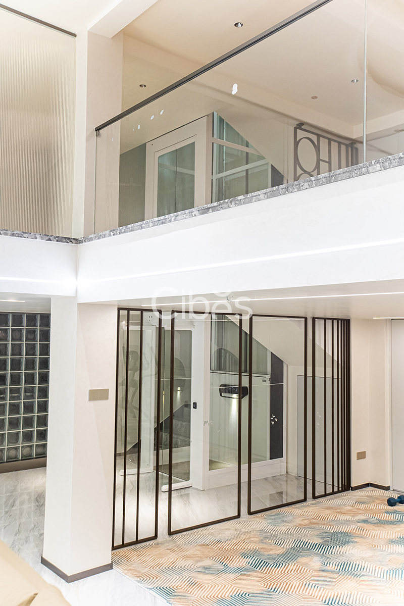 Cibes大发500家用电梯装置案例