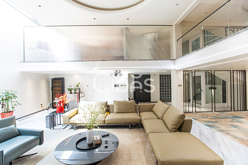 Cibes大发500家用电梯装置案例