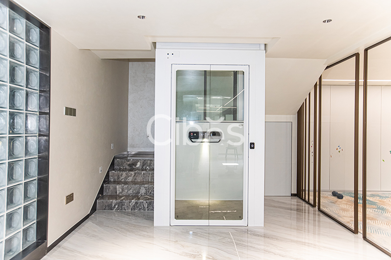 Cibes大发500家用电梯装置案例