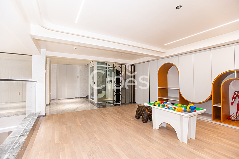 Cibes大发500家用电梯装置案例