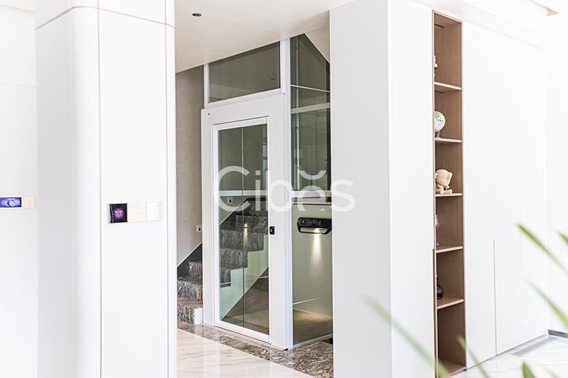 Cibes大发500家用电梯装置案例