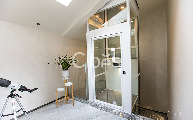 Cibes大发500家用电梯装置案例