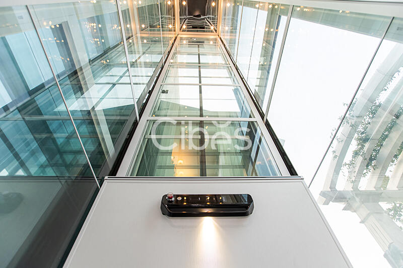 Cibes大发500家用电梯装置案例