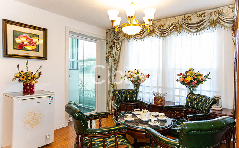 Cibes大发500家用电梯装置案例