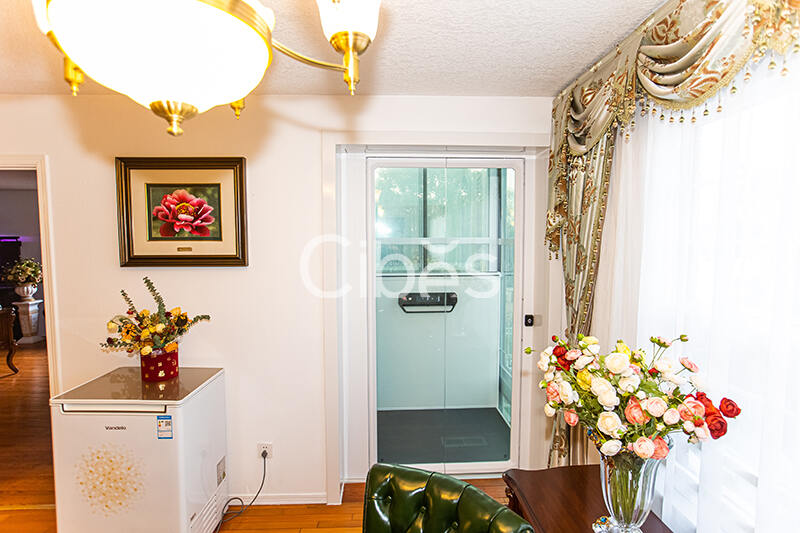 Cibes大发500家用电梯装置案例