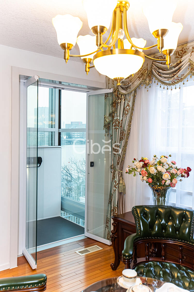 Cibes大发500家用电梯装置案例