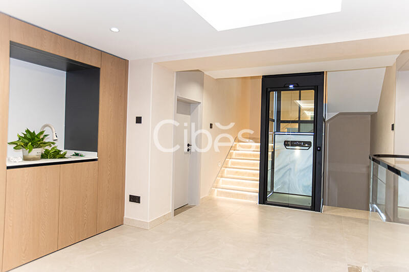 Cibes大发500南京家用电梯案例