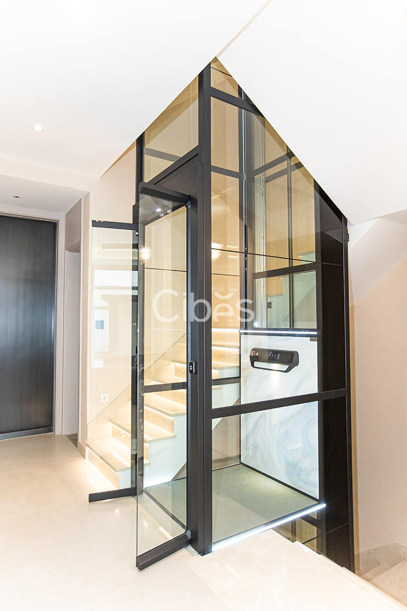 Cibes大发500南京家用电梯案例