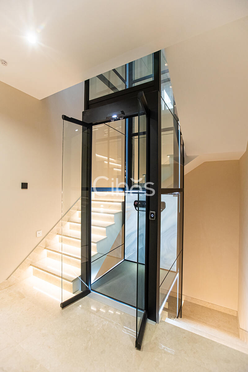 Cibes大发500南京家用电梯案例