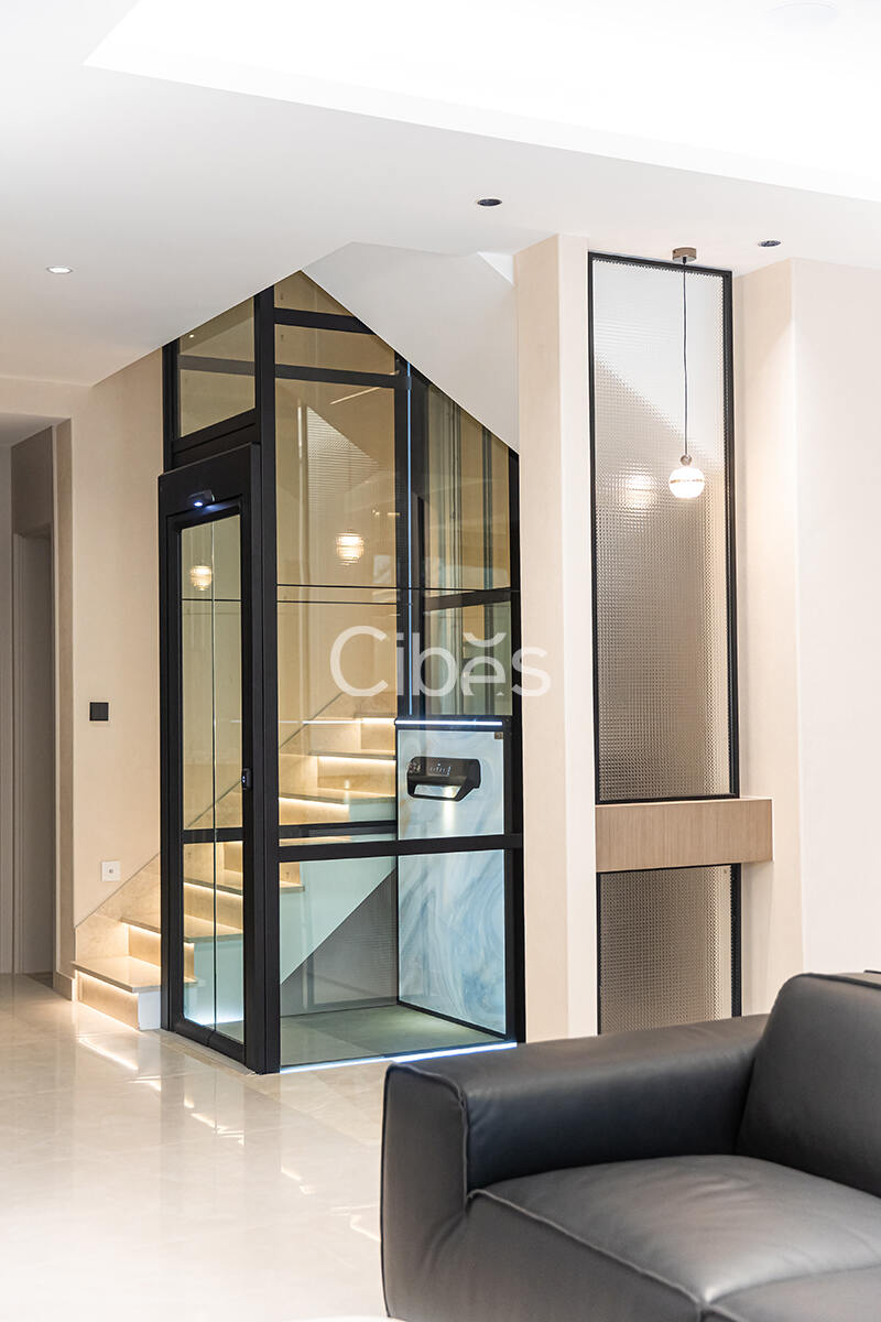 Cibes大发500南京家用电梯案例