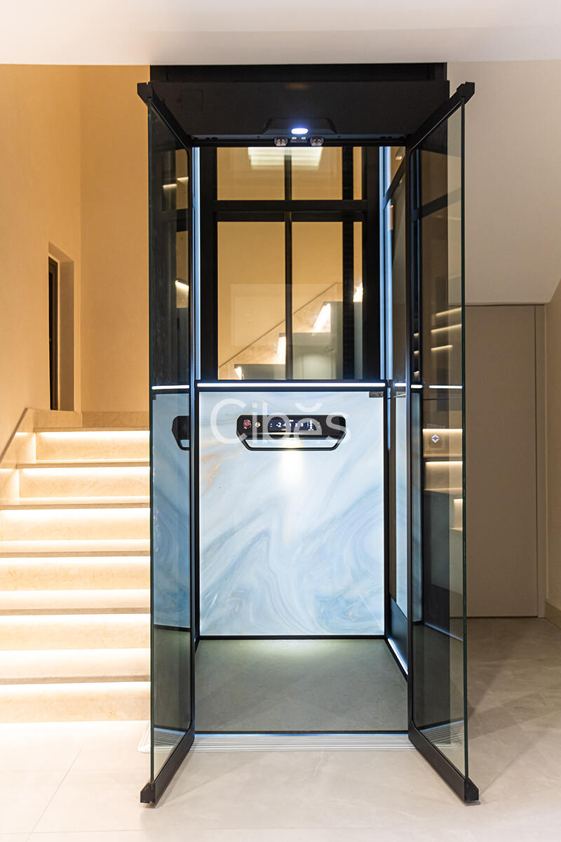 Cibes大发500南京家用电梯案例