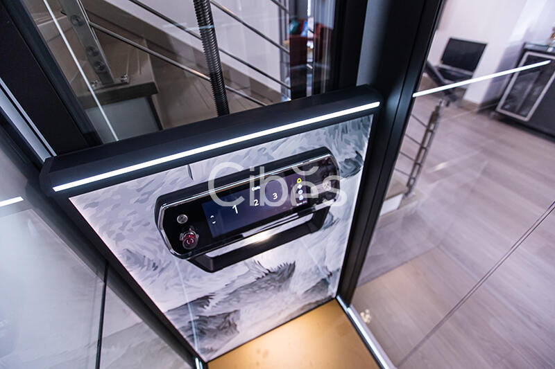 Cibes大发500南京家用电梯案例