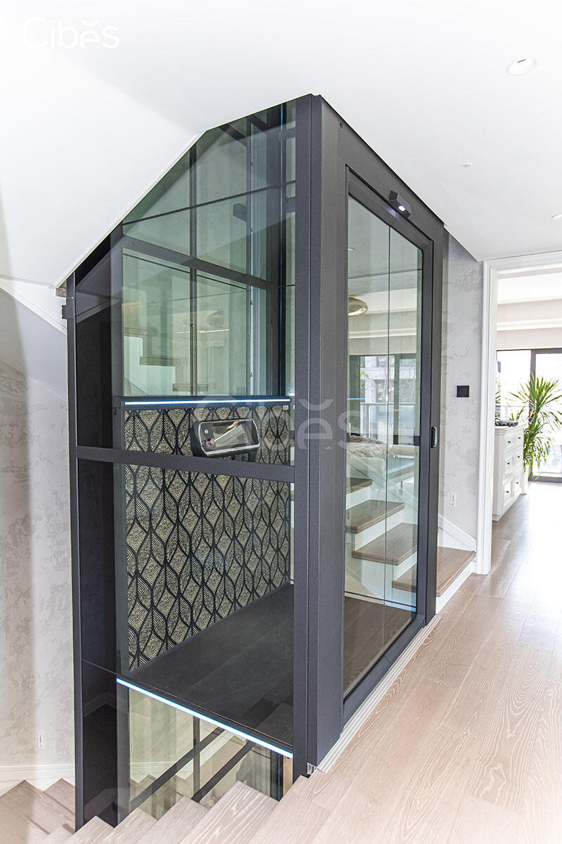 Cibes大发500家用电梯图片