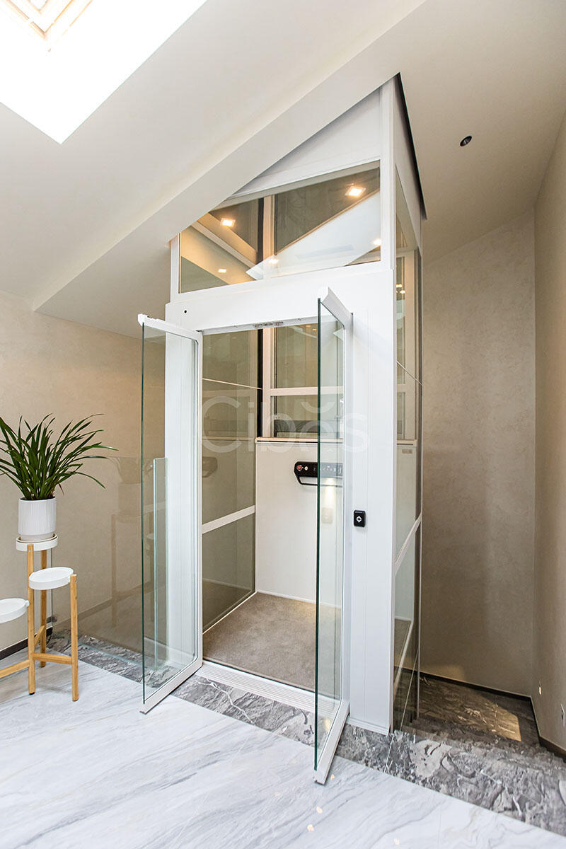 Cibes大发500家用电梯图片