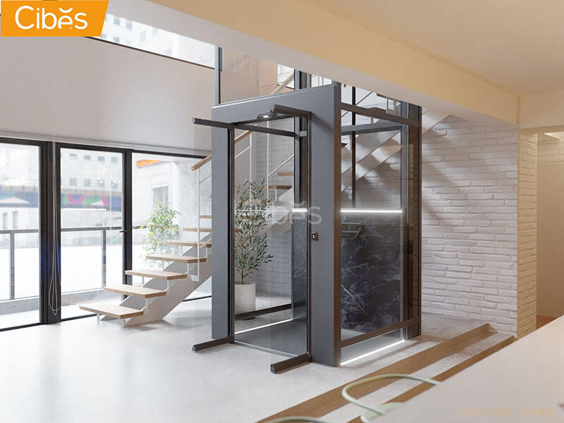 Cibes大发500家用电梯图片