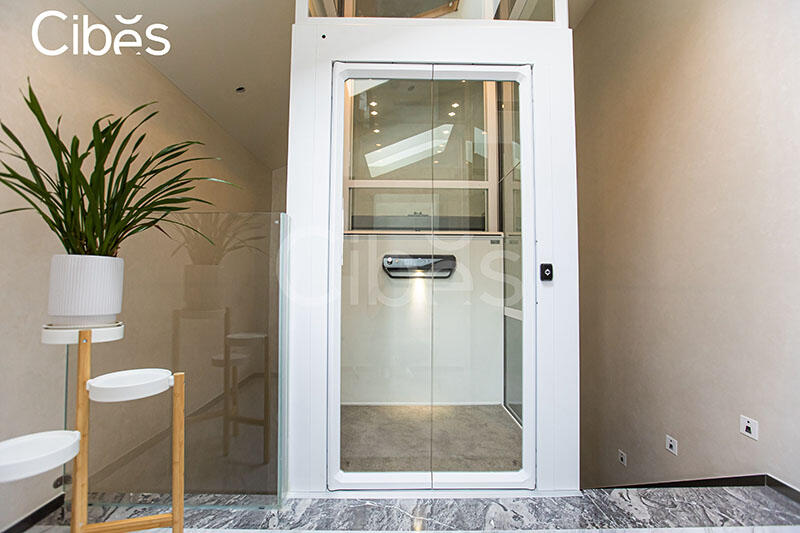 Cibes大发500家用电梯图片