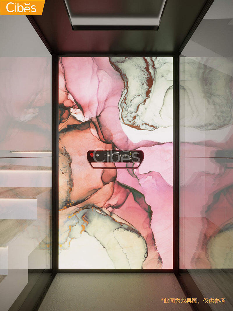 Cibes大发500家用电梯图片