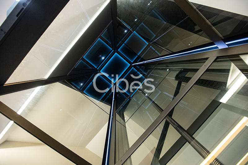 Cibes大发500浙江温州家用电梯案例