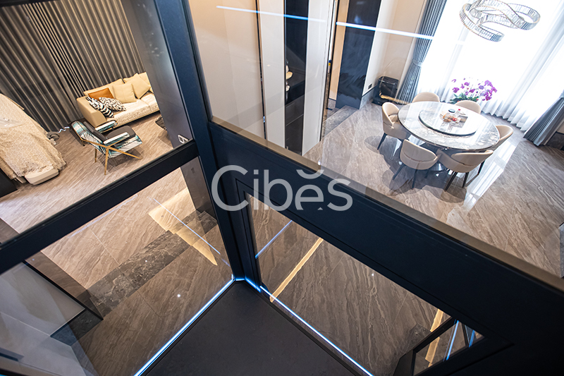 Cibes大发500浙江温州家用电梯案例