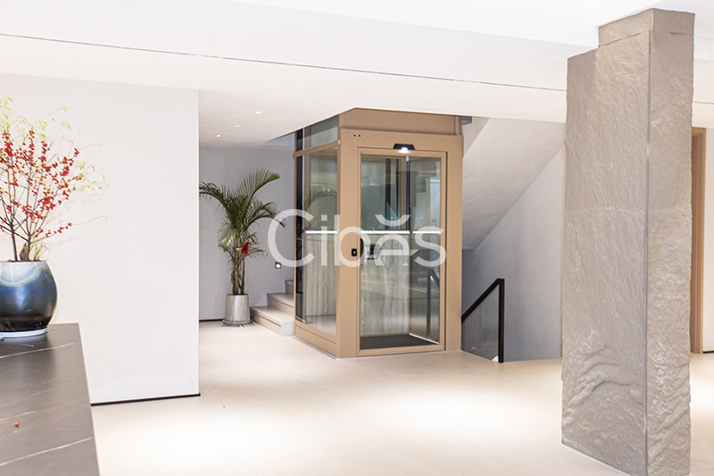 Cibes大发500浙江台州家用电梯案例