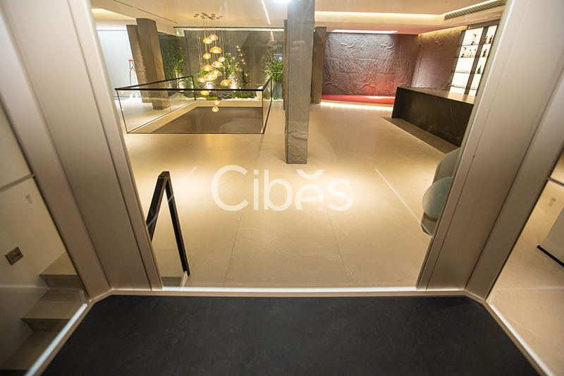 Cibes大发500浙江台州家用电梯案例