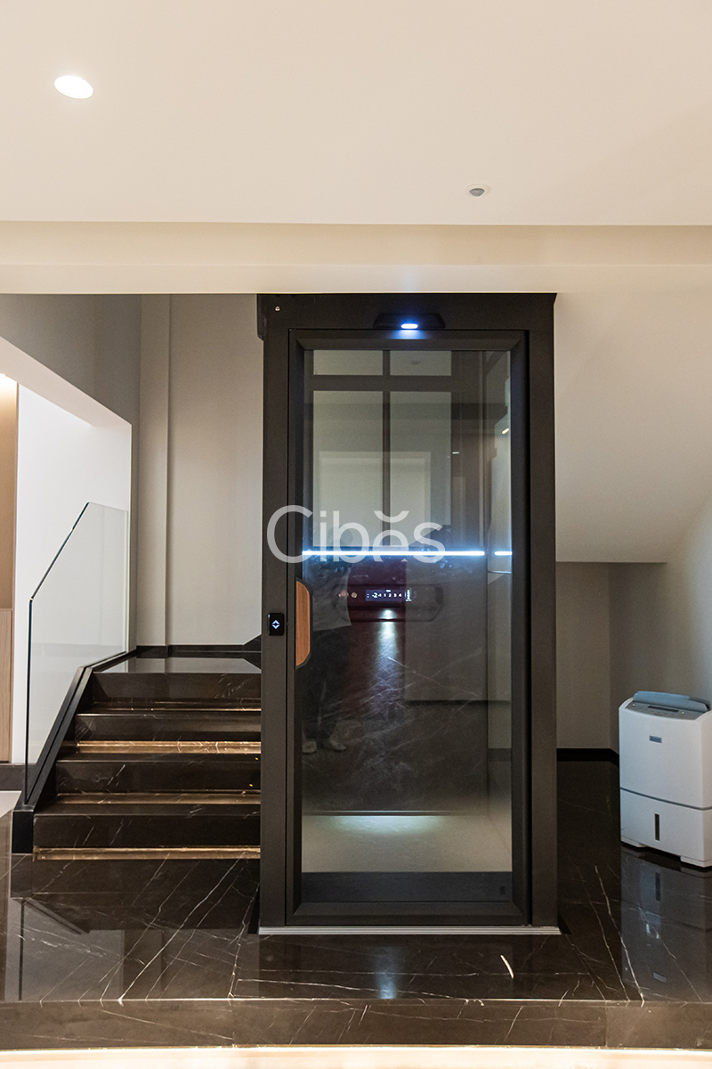 Cibes大发500浙江台州家用电梯案例