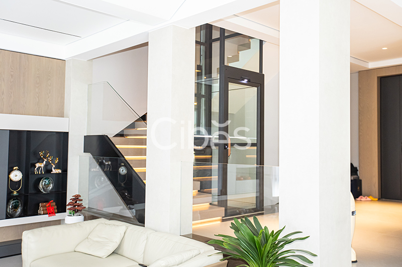 Cibes大发500浙江台州家用电梯案例