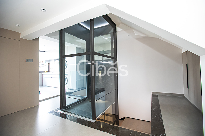 Cibes大发500浙江台州家用电梯案例